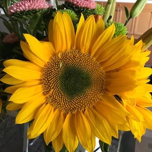 Meet your Posher, Dipti